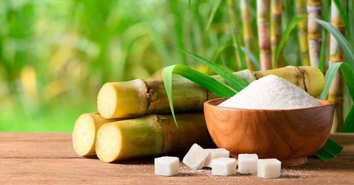 Esto no le gusta a Celia Cruz: México impone aranceles de hasta 210% a la importación de azúcar