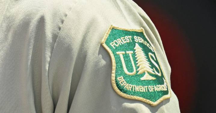 Colorado firefighters to let human-caused fire at gun range burn out of fear of unfired ammunition