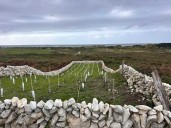 El PSOE Santander propone un plan municipal para recuperar el patrimonio rural de Cueto, Monte y San Román