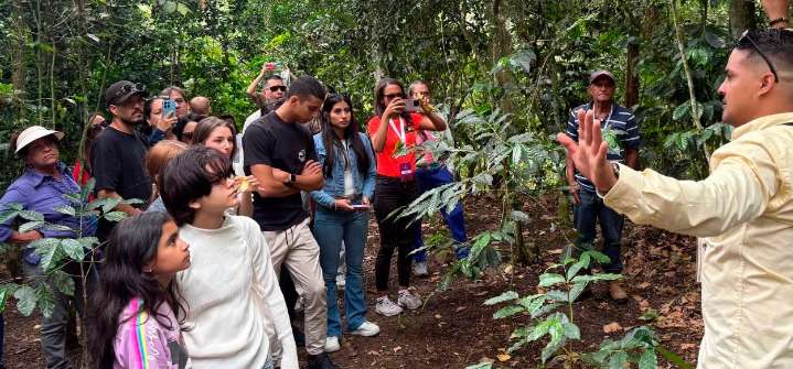 Ruta Turística «Aroma y Café» guia a usuarios por el paso a paso de la producción