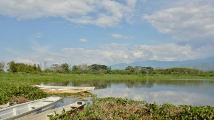 ¿Cómo llegar y qué hacer en la Laguna de Sonso, refugio natural para visitar en el Valle del Cauca?