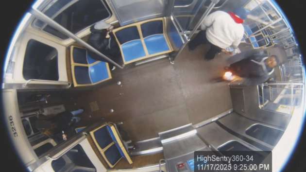 Man faces terrorism charge for allegedly setting woman on fire on Chicago L train: DOJ