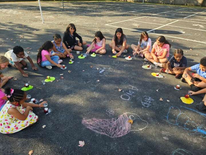 Fox Valley Park District gets grant for after