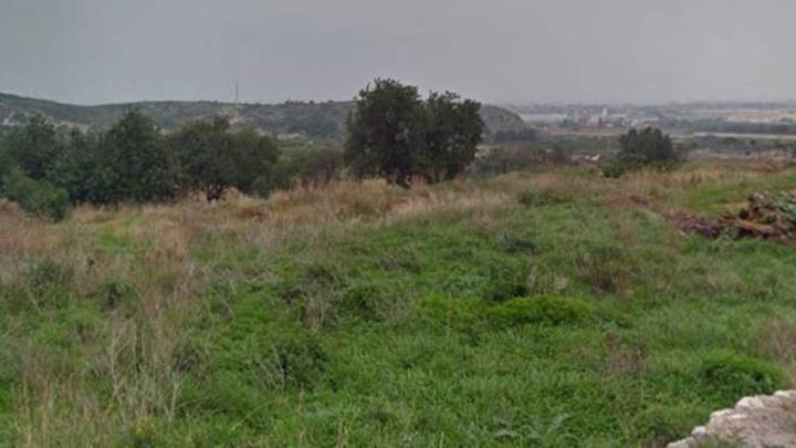 El Verger anula la sanciones a parcelas agrícolas sin limpiar