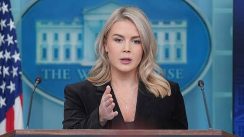 ICE arrests woman with family connection to WH  press secretary Karoline Leavitt