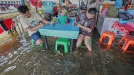 Flooded restaurant in Thailand brings delight with swimming fish among diners