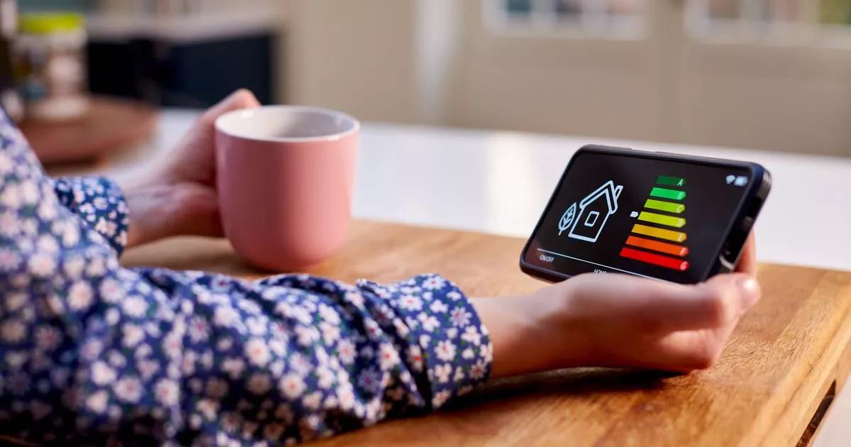 Octopus and EDF Energy tip can cut up to £80 from gas and electricity bills