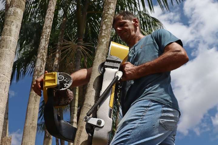 El robot que trepa por el bosque: cómo la Amazonía brasileña convierte la innovación en supervivencia