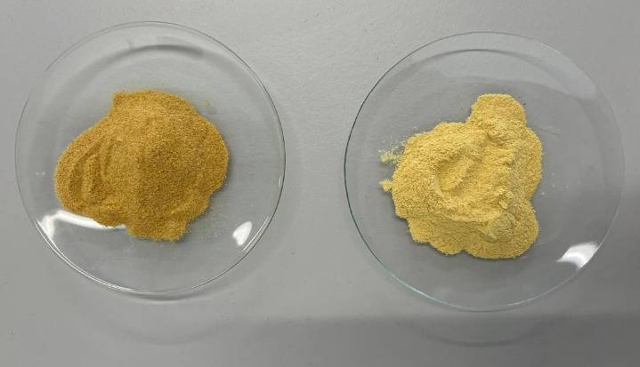 De residuo a suplemento, la cáscara de pitahaya amarilla que podría revolucionar la industria alimentaria