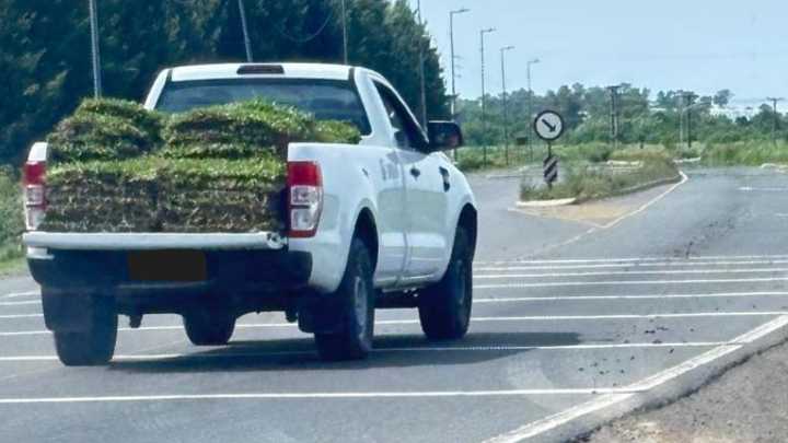 Canning: un vivero denunció el robo de su carga en la puerta de Horizontes al Sur por una camioneta con el logo del PAMI