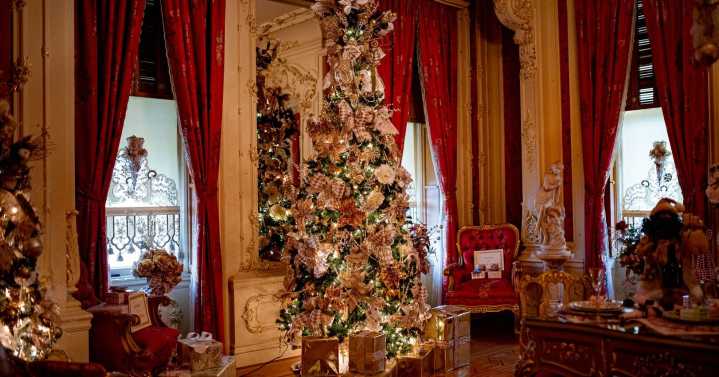 The Best Things to Do This Week, According to Our Editors: Nov. 17