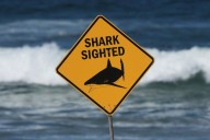 Shark attack in Australia leaves woman dead, man critically injured