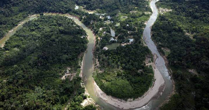 Las selvas amazónicas en tierras indígenas nos protegen contra enfermedades, revela estudio
