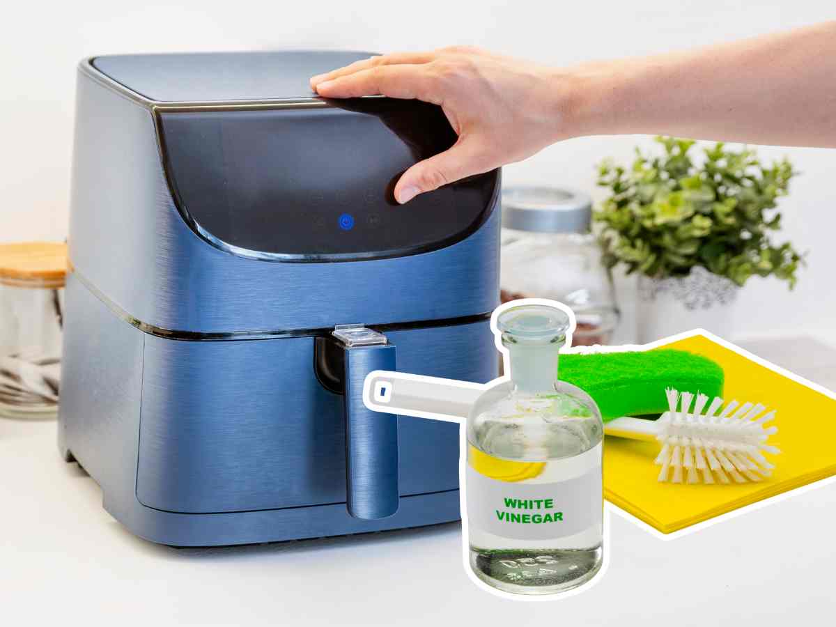 Cómo se lava una freidora de aire: limpieza efectiva paso a paso