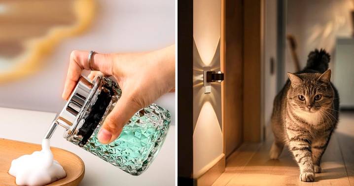 60 Cool Things Under $30 That Make Your Home Way Bougier