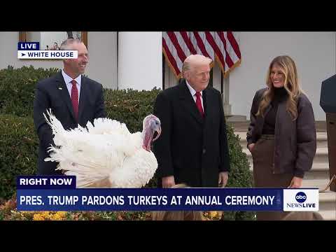 Trump pardons turkeys at annual turkey pardoning at White House