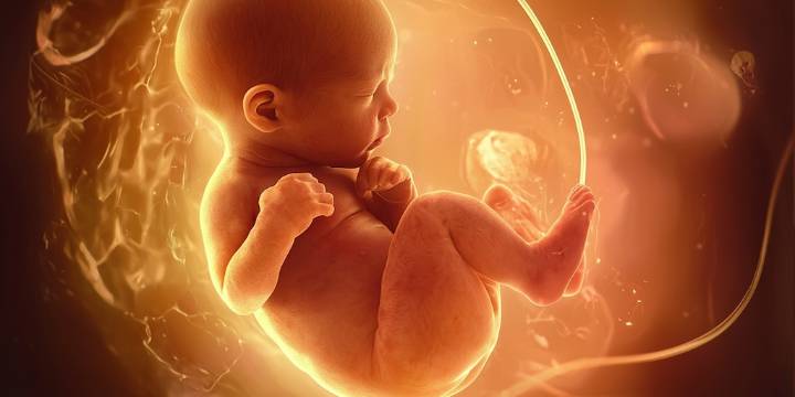 IA consigue el primer embarazo en un caso de infertilidad masculina sin cirugía invasiva