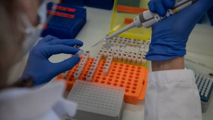 Allison Feldman murder case: Here's what to know about familial DNA