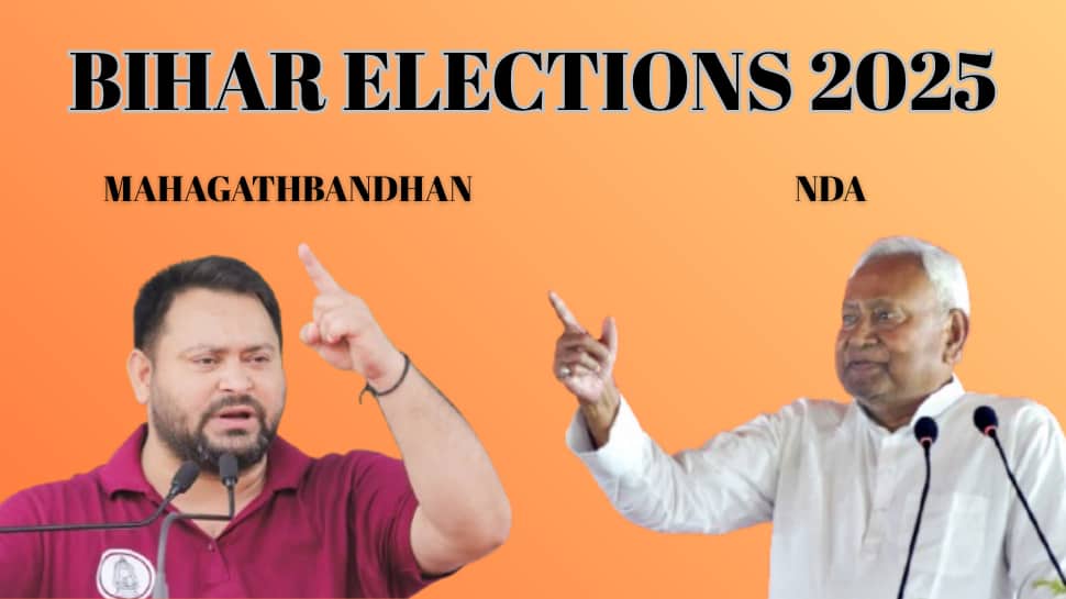 Bihar Election 2025: NDA Vs Mahagathbandhan Manifesto Comparison