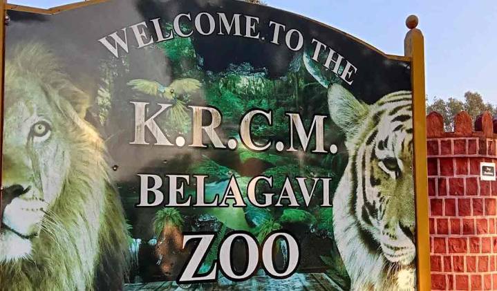 Karnataka: Belagavi Zoo blackbuck deaths rise to 29; bacterial outbreak suspected