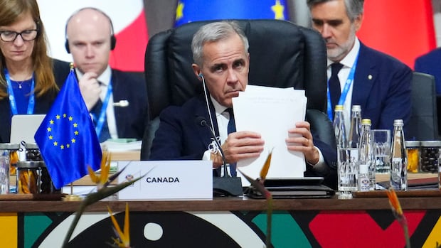 Carney signs onto AI and technology partnership with India and Australia