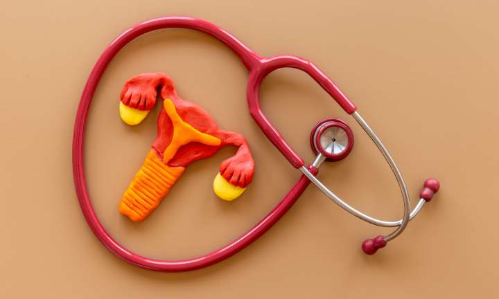 Nasal therapeutic vaccine may treat cervical cancer: Study