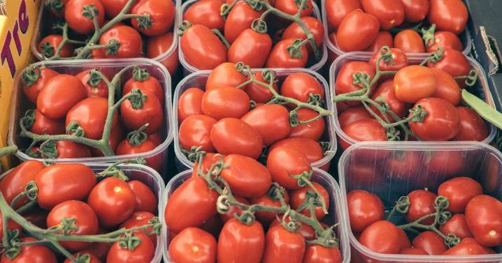 Vox insiste en el rechazo de España a que Marruecos utilice cultivos del Sáhara para hacer competencia desleal