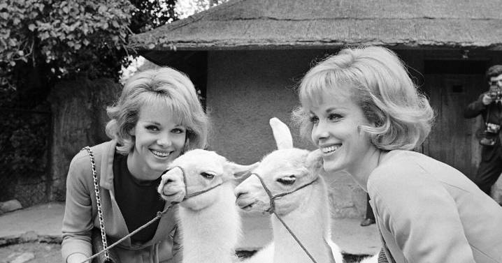 Kessler twins Ellen and Alice, singer-dancers who performed with Sinatra and Belafonte, dead at 89