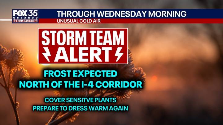 Taking precautions to protect plants from expected frost