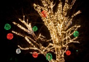 Inicia temporada de luces navideñas y ¡podrá disfrutar sin costo!