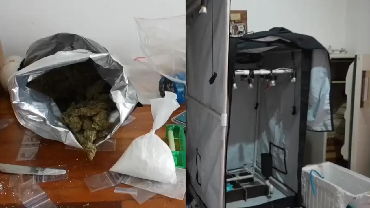 Vivienda en el sur de Bogotá producía hasta 50 kilos de marihuana en un mes con esta técnica