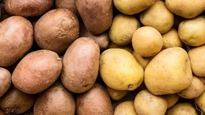 Papas: energía natural y aliadas contra la presión alta