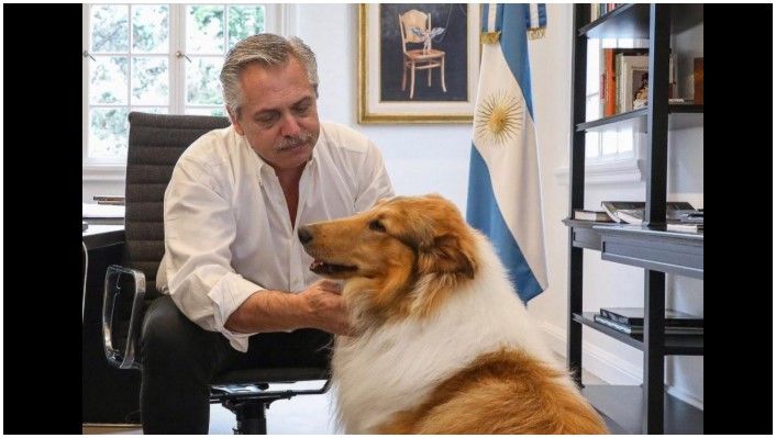 Murió Dylan, el perro de Alberto Fernández