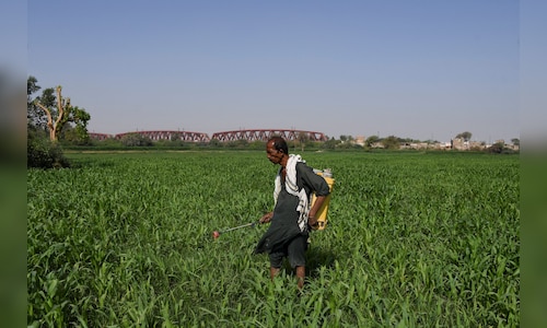 Over 2.15 crore farmers in UP to receive 21st instalment of PM