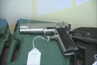 State report suggests new policies to combat gun violence and self