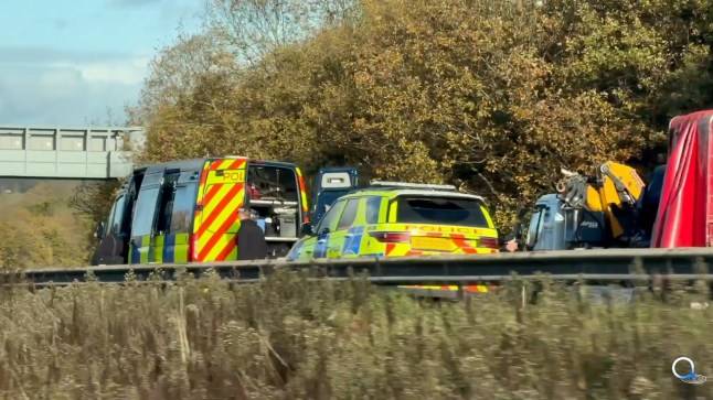 Man and woman, in 20s, killed in ‘tragic’ M1 crash after BMW ploughs into tree