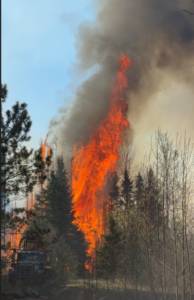 Man cited for starting Camp House Fire pleas guilty