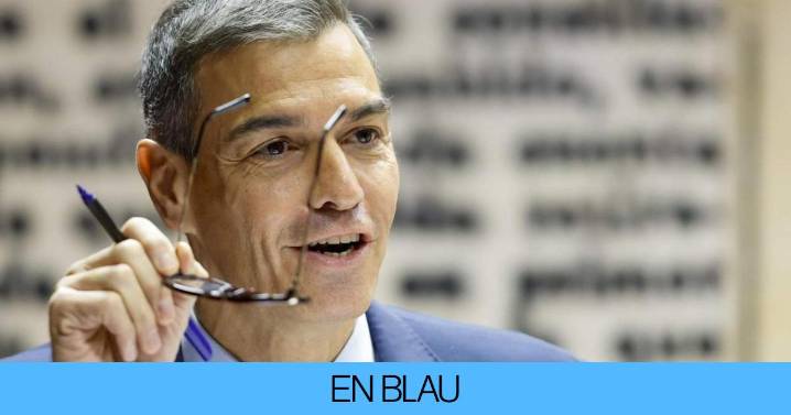 TikTok convierte a Pedro Sánchez en el político estrella de Europa