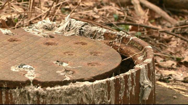 Work approved for sewer fix, expansion work to begin in Mill Creek Park