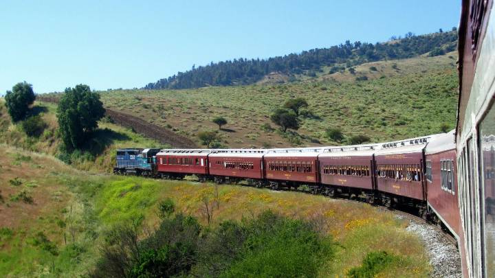 Tren del Recuerdo suma experiencias locales con nuevas rutas turísticas en Limache