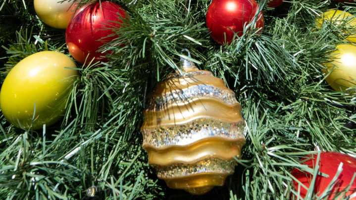 VOTE in our poll: When should you start decorating for Christmas?