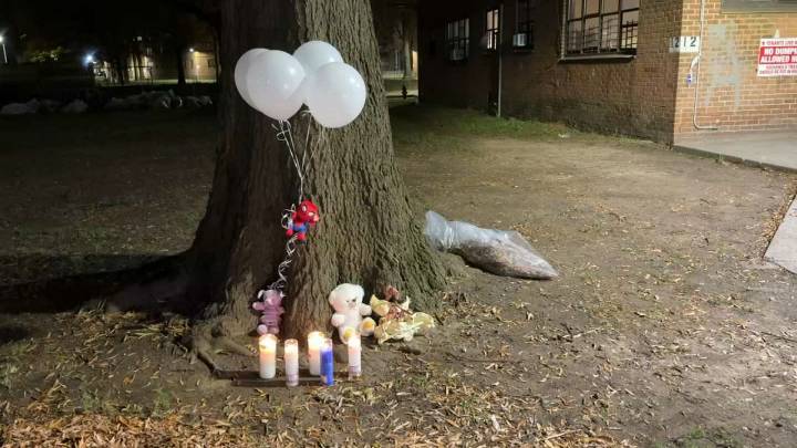 Fetus found outside Brooklyn housing complex, sources say