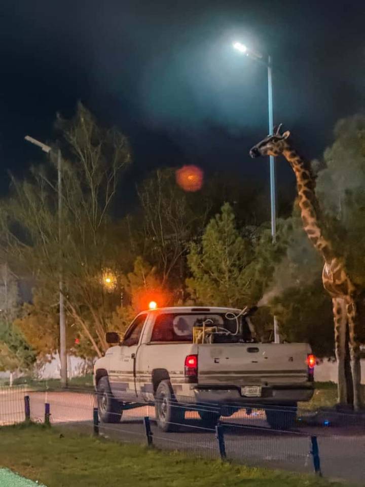 Concluye jornada de fumigación preventiva