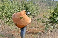 Nación ratificó la quita de facultades y el Inym sólo podrá verificar la calidad