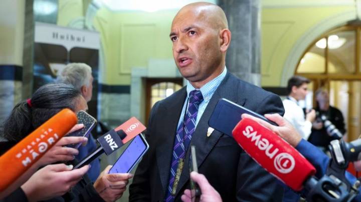 Nueva Zelandia dice que va a erradicar a los gatos salvajes