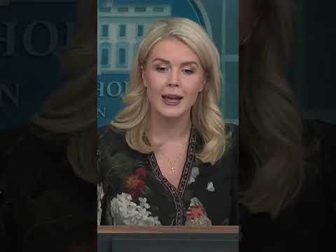 ‘It’s going to take some time’: Karoline Leavitt on using contingency funds for SNAP benefits