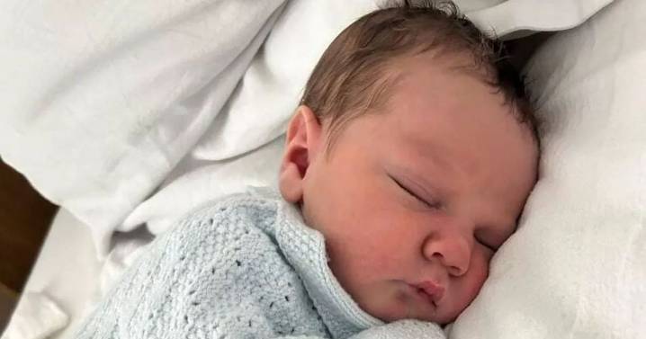 Baby boy killed by family's XL Bully dog pictured for first time