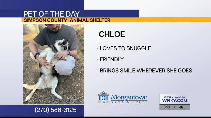Pet of the Day: Chloe