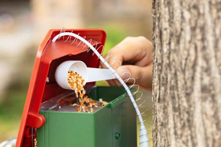 When Technology Learns to See Differently: Inside DETIKO’s Smart Bird Feeder