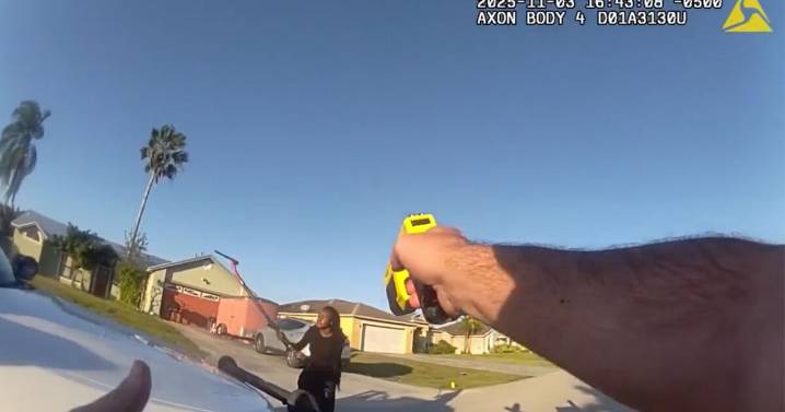 Teen charged with felony after striking Port St. Lucie police car with shovel